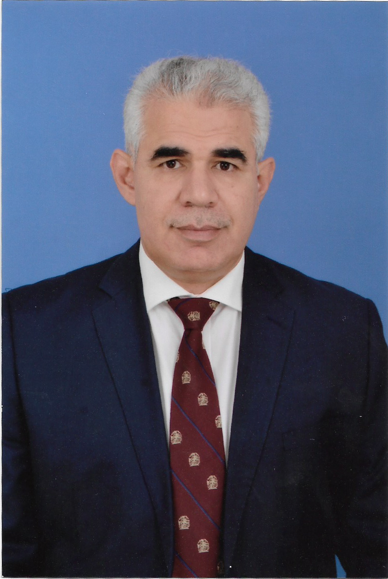 AHMED SULIMAN